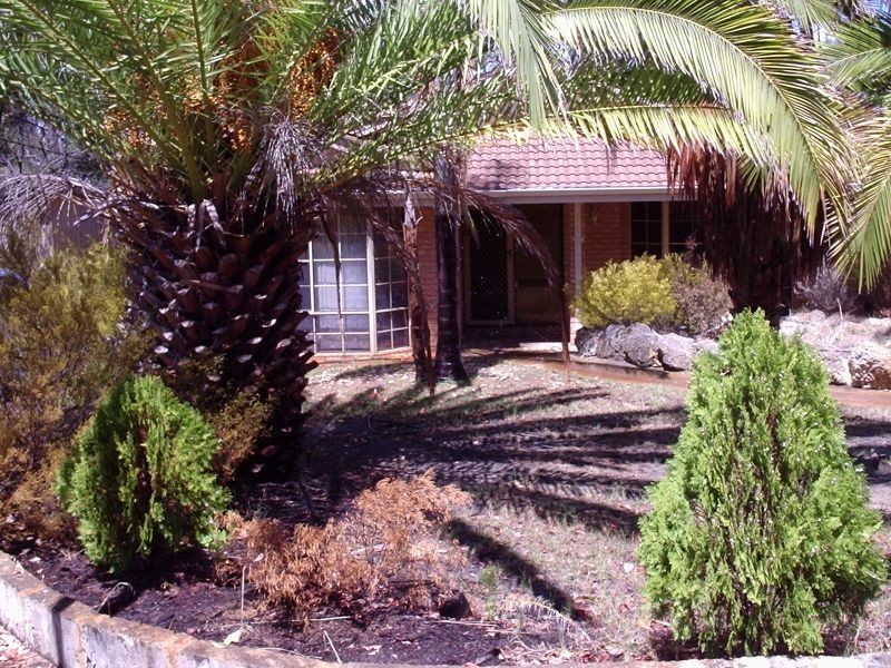 19 Silversmith Street, Wellard WA 6170