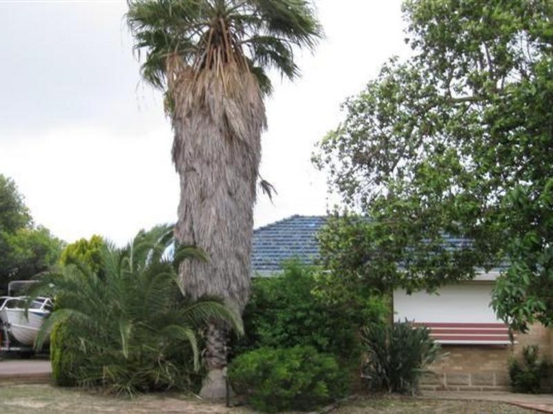 36 Mclean Street, Melville WA 6156