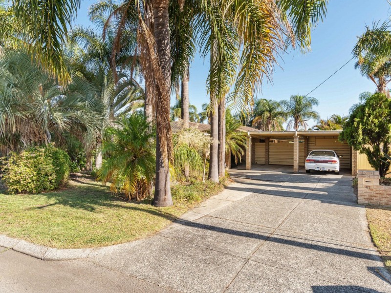 41 Narcissus, Parkwood WA 6147