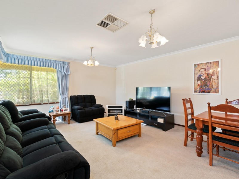 41 Narcissus, Parkwood WA 6147