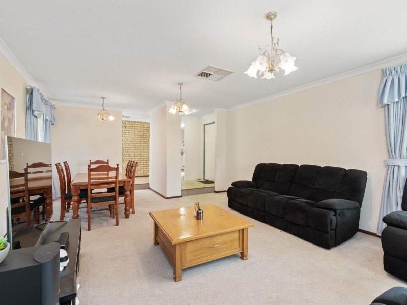 41 Narcissus, Parkwood WA 6147