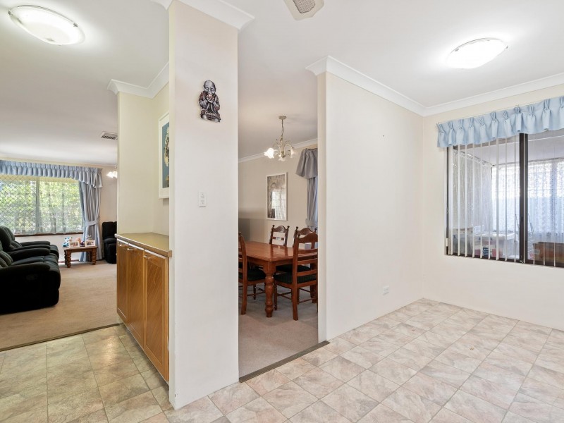 41 Narcissus, Parkwood WA 6147