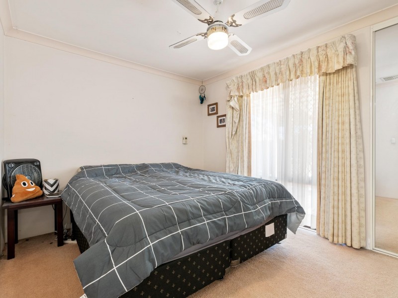 41 Narcissus, Parkwood WA 6147