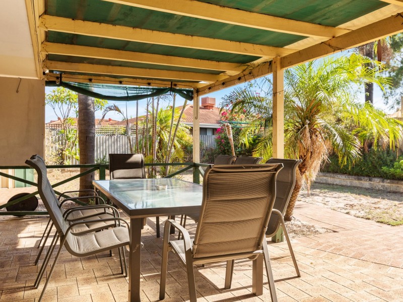 41 Narcissus, Parkwood WA 6147