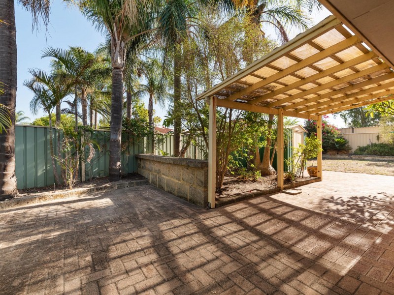 41 Narcissus, Parkwood WA 6147