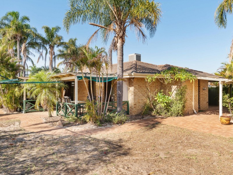 41 Narcissus, Parkwood WA 6147