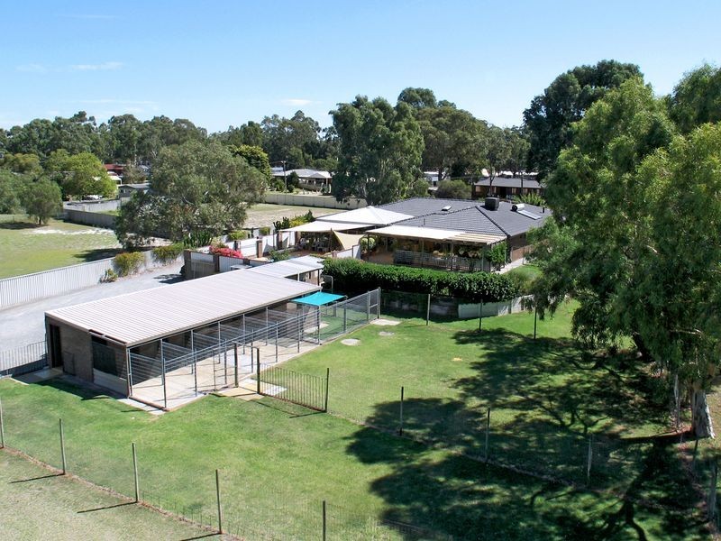 111 Terrier Place, Southern River WA 6110