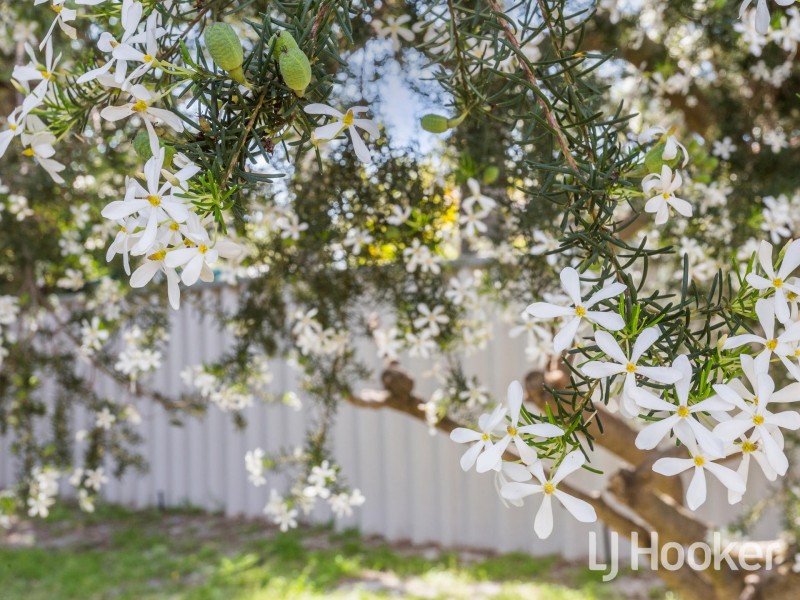 10B Barricade Court, Willetton WA 6155