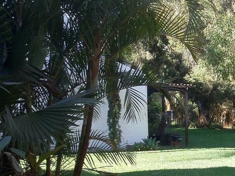 193/12 Wall Street, Maylands WA 6051