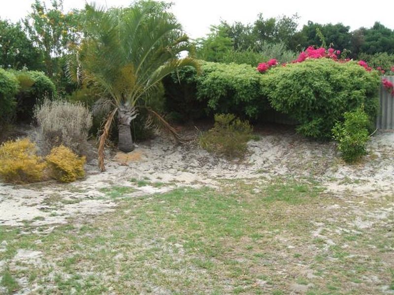 13 Datura Court, Parkwood WA 6147