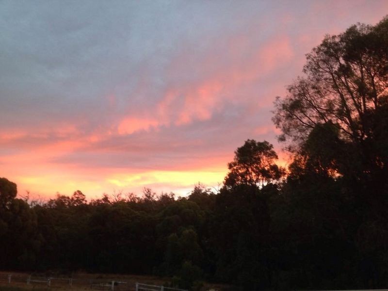 8 Brook Road, Jarrahdale WA 6124