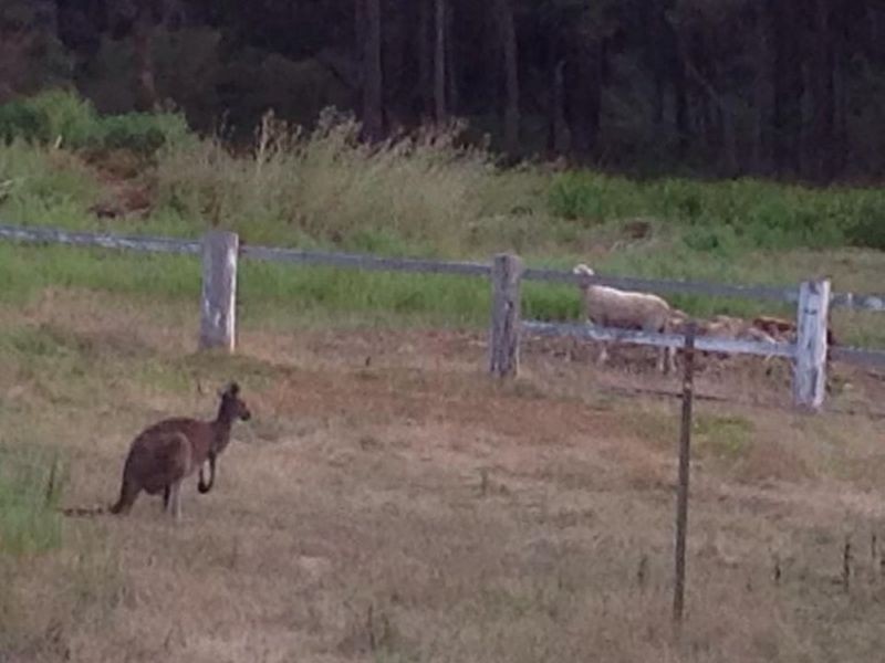 8 Brook Road, Jarrahdale WA 6124