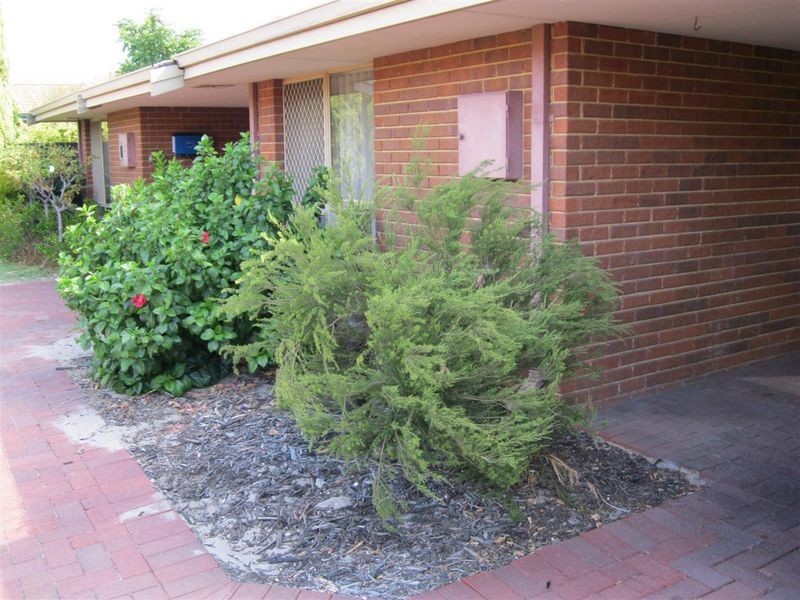 7/5 Dewey Street, Shelley WA 6148