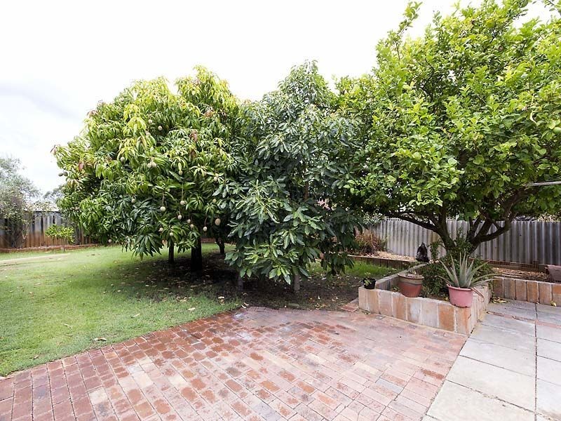5 Claydon Street, Willetton WA 6155
