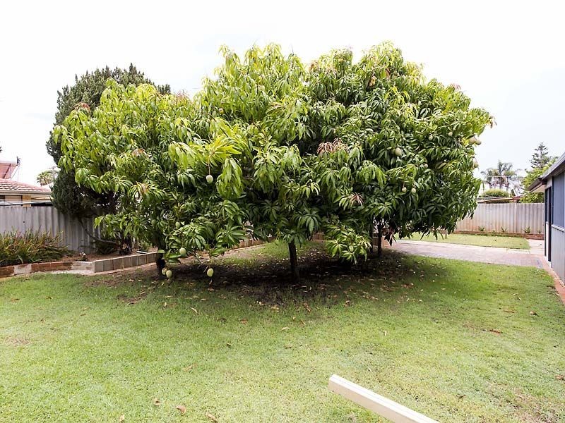 5 Claydon Street, Willetton WA 6155