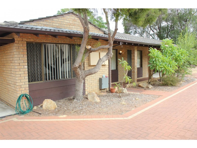 1/57 Corbel Street, Shelley WA 6148