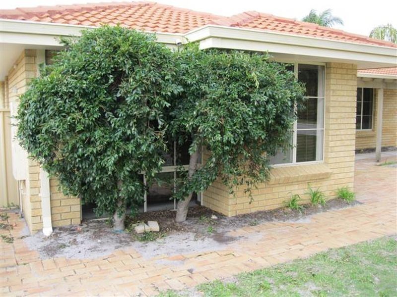 21 Tippett Court, Willetton WA 6155