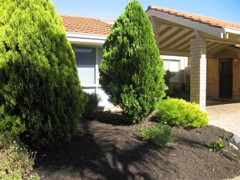 3/56-58 Federal Street, Tuart Hill WA 6060