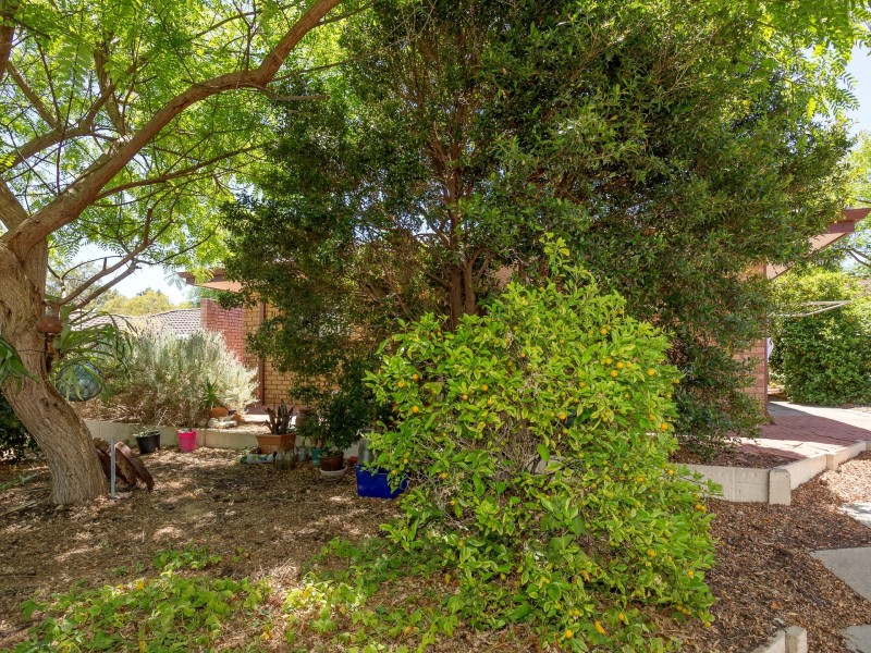 8A Moennich Court, Coolbellup WA 6163