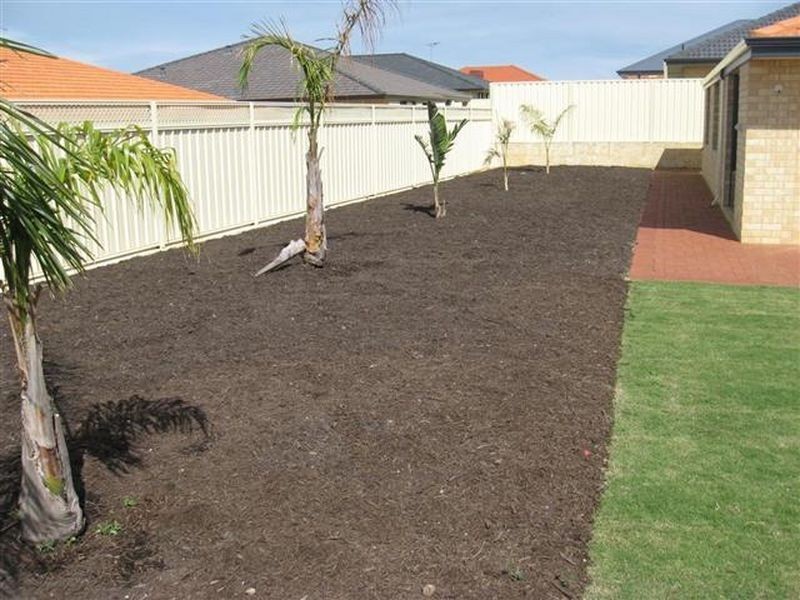 23 Cleland Cst, Baldivis WA 6171