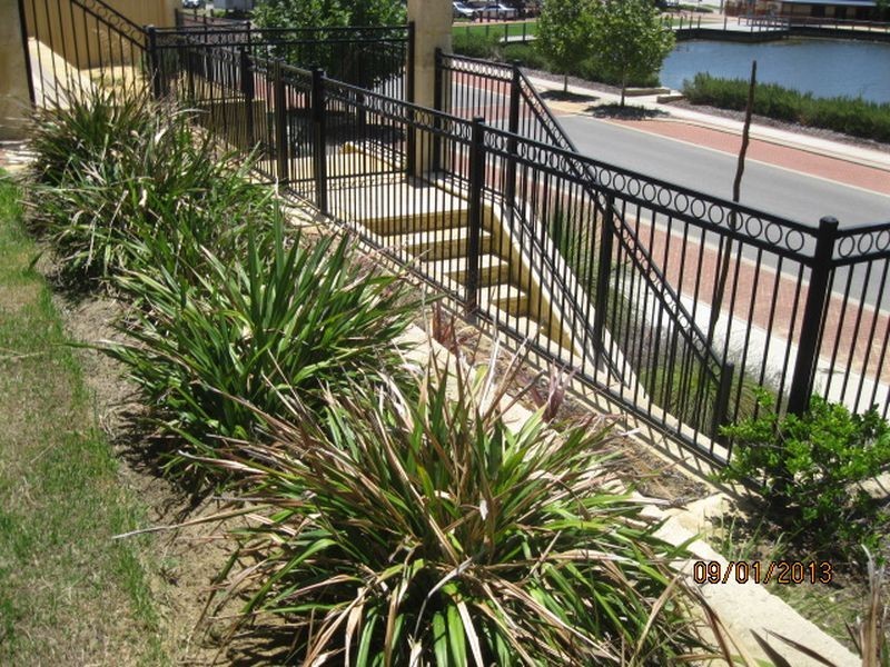 15 Shrike Lane, Beeliar WA 6164