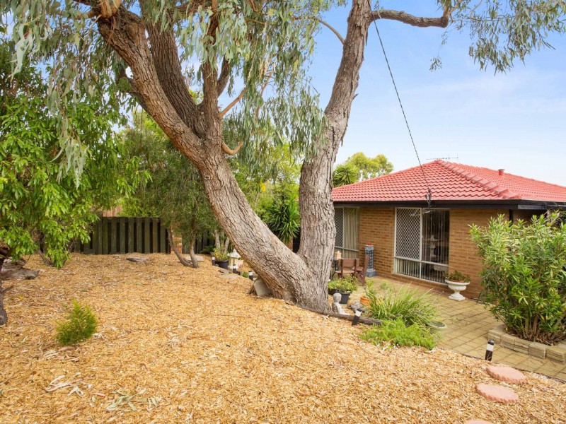 21 Stanyford Place, Hamilton Hill WA 6163