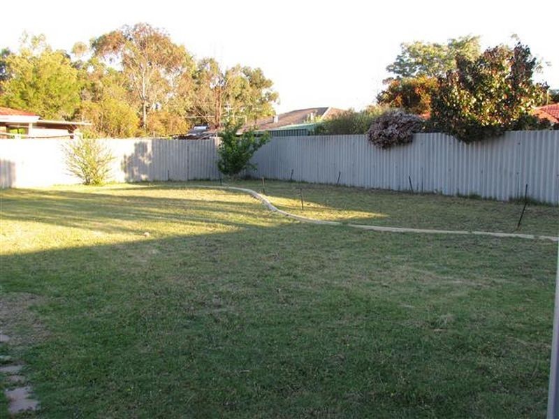 31 Collins Road, Willetton WA 6155