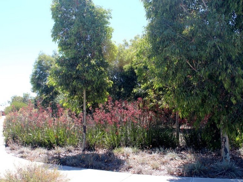 4/15 Suttor Drive, Success WA 6164