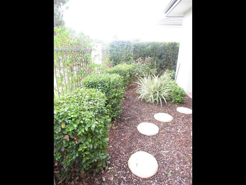 14 Wagtail Link, Beeliar WA 6164