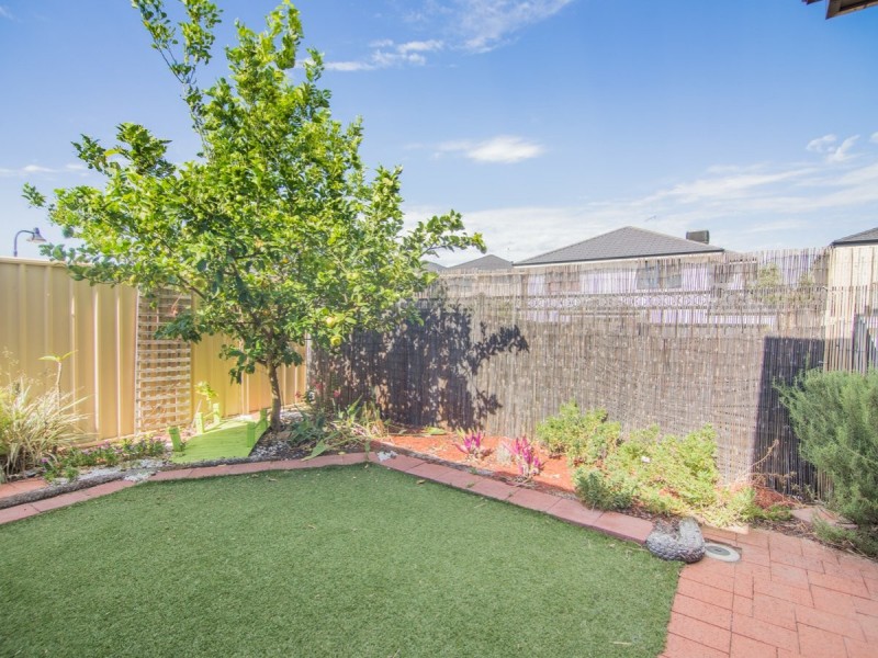 5 Bee Eater Link, Beeliar WA 6164