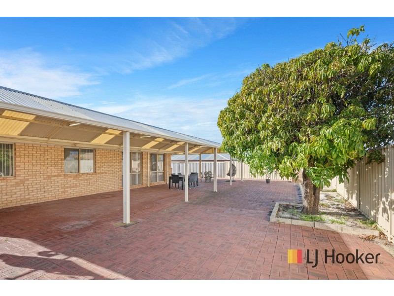 18 Torenia Way, Yangebup WA 6164