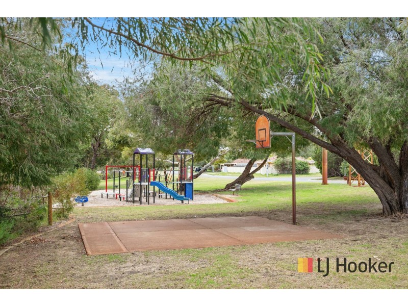 18 Torenia Way, Yangebup WA 6164