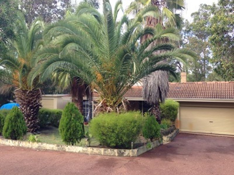 19 Silversmith Street, Wellard WA 6170