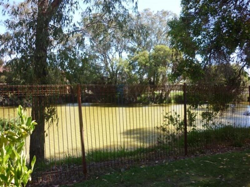 193/12 Wall Street, Maylands WA 6051