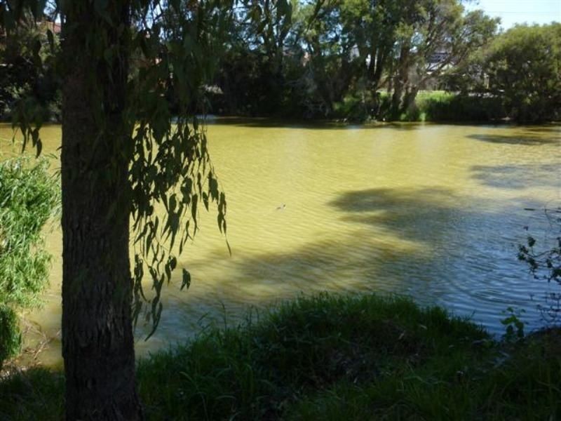 193/12 Wall Street, Maylands WA 6051