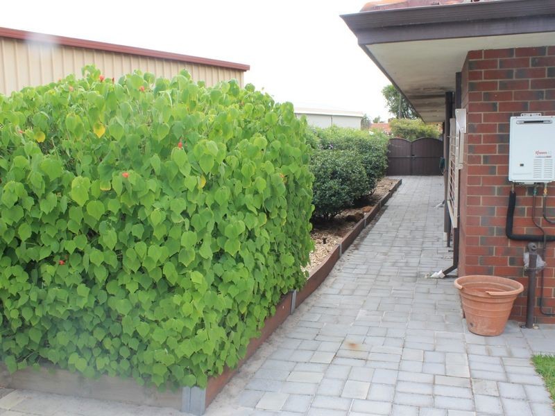 3A Wirilda Way, Parkwood WA 6147