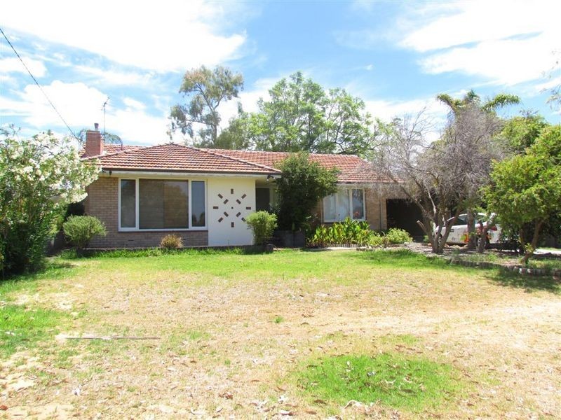 19 Chilton Street, Willagee WA 6156