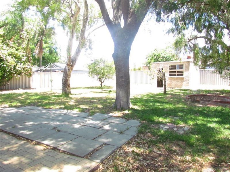 19 Chilton Street, Willagee WA 6156