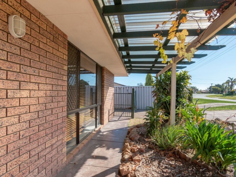 19 Seagull Way, Yangebup WA 6164