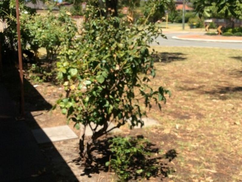 18 Acanthus Road, Willetton WA 6155