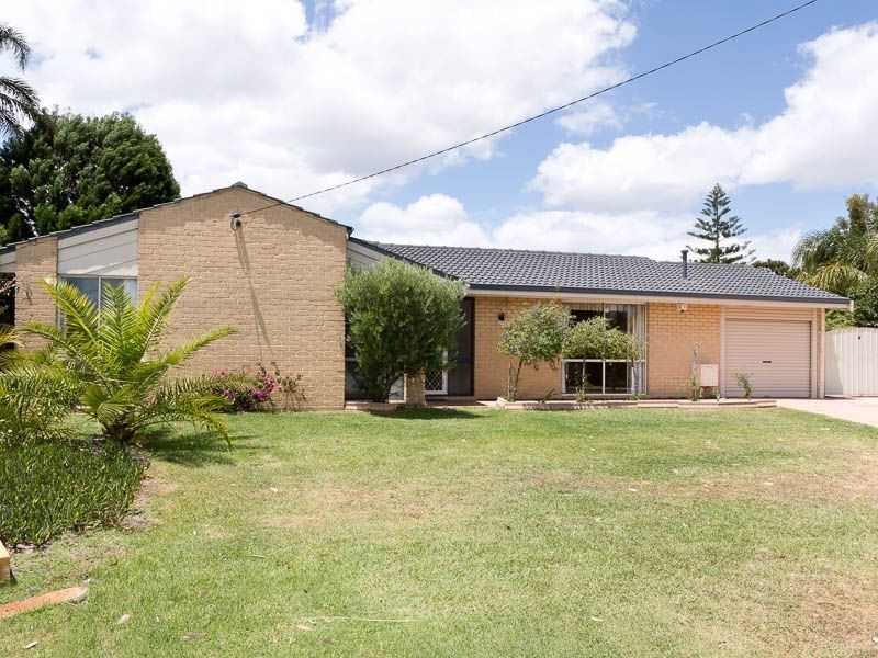 7 Cobalt Place, Riverton WA 6148