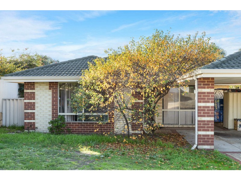 13 Centaury Close, Beeliar WA 6164
