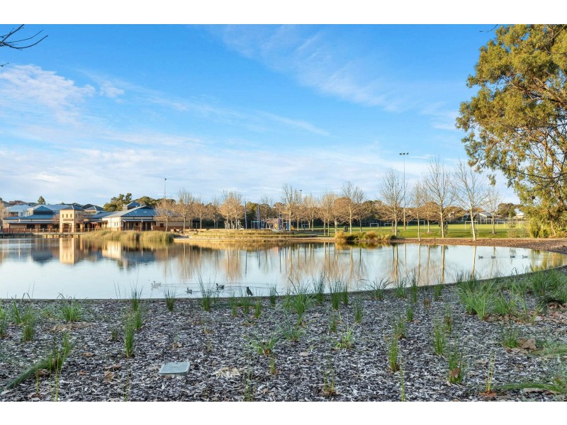 13 Centaury Close, Beeliar WA 6164
