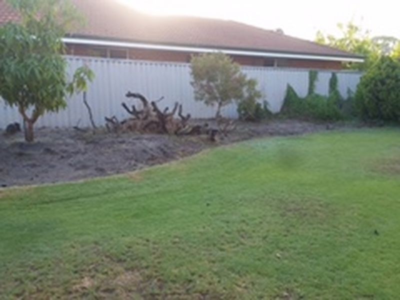 11 Bluebell Way, Bibra Lake WA 6163