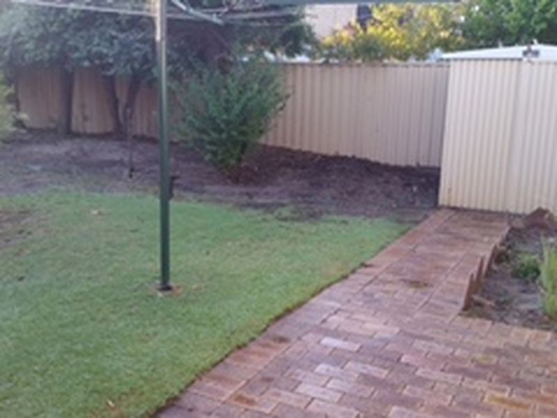 11 Bluebell Way, Bibra Lake WA 6163