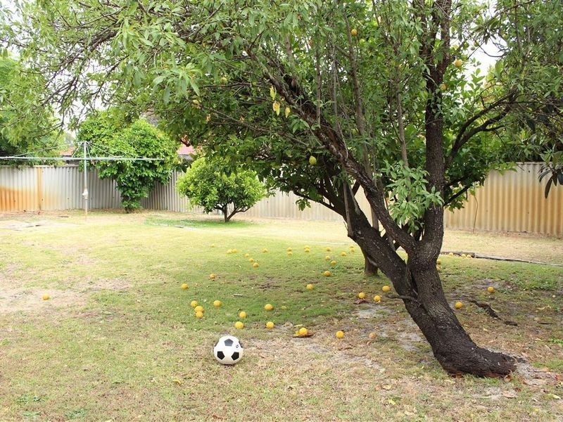 7 Wirth Close, Bull Creek WA 6149
