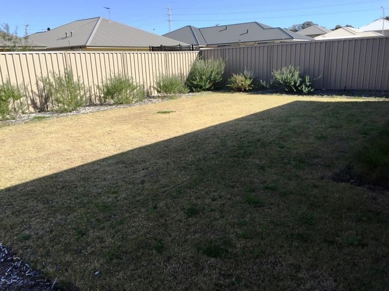 10 Plumosa Avenue, Beeliar WA 6164