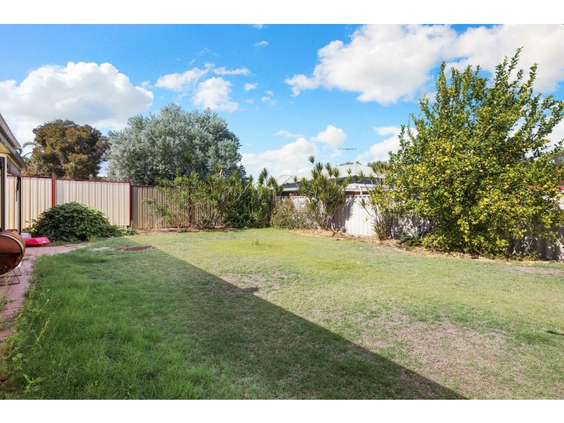 12 Danielson Way, Beeliar WA 6164