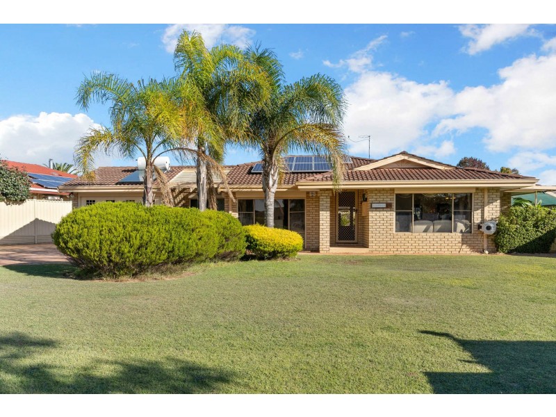 19 Hamlet Court, Bibra Lake WA 6163