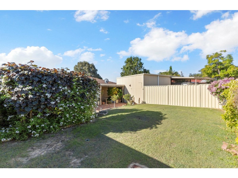19 Hamlet Court, Bibra Lake WA 6163